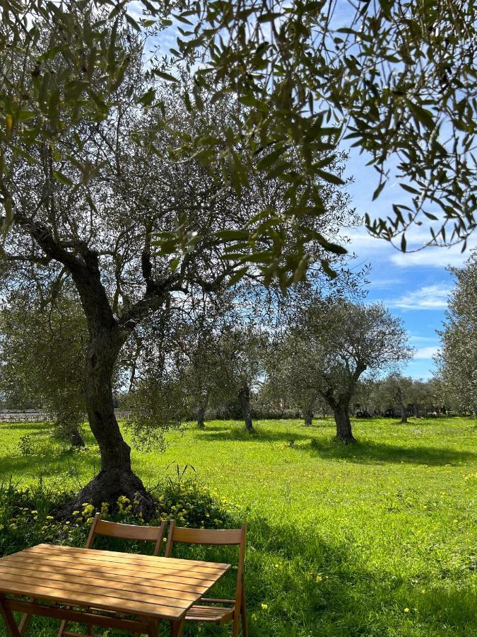 Villa Casa Del Mate Alghero Esterno foto